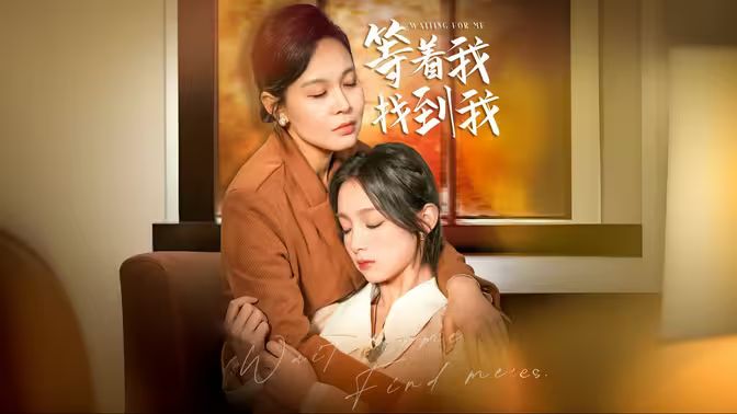 等著我，找到我(全集)