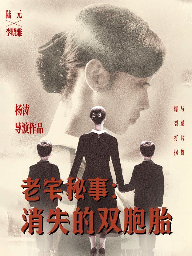 老宅秘事消失的雙胞胎（消失的孩子）(全集)