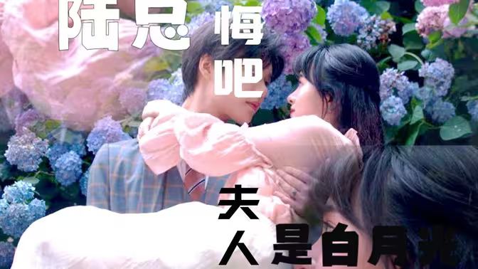 陸總懺悔吧，夫人才是白月光(全集)