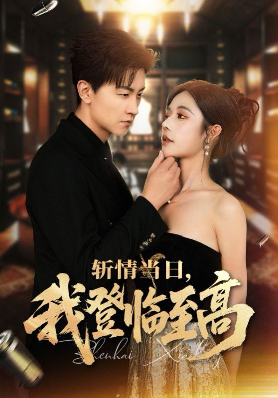 斬情當(dāng)日我登臨至高(全集)