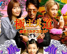 極主夫道 爆笑！砸場(chǎng)子SP