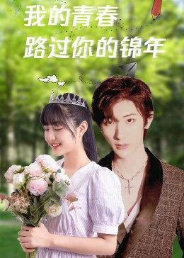 我的青春路過你的錦年
