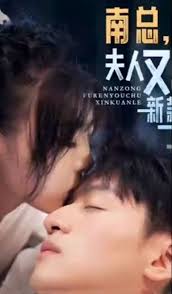 南總，夫人又出新款了(全集)