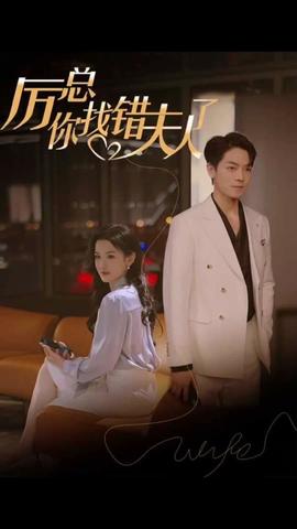 厲總，你找錯夫人了(全集)