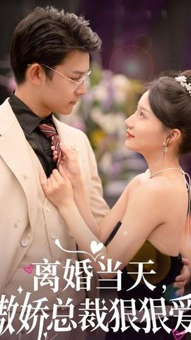 離婚當(dāng)天，傲嬌總裁狠狠愛(全集)
