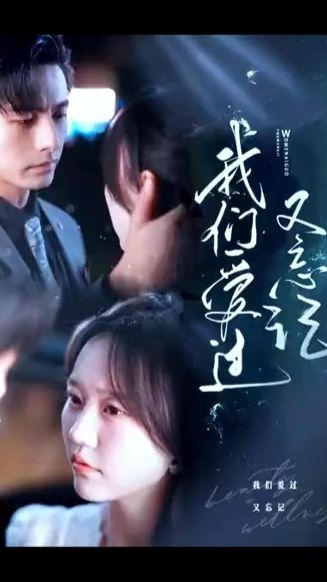 我們愛(ài)過(guò)又忘記(全集)