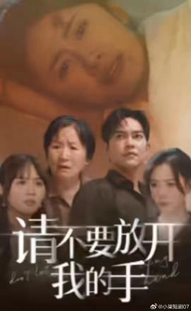 請(qǐng)不要放開我的手(全集)
