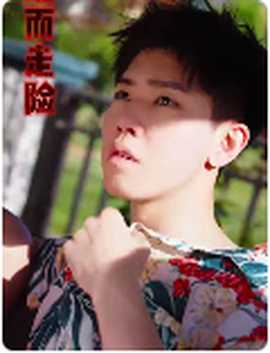 鋌而走險$步步高升(全集)