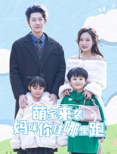萌寶來(lái)襲媽咪你往哪里跑(全集)