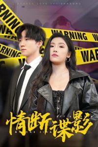 情斷諜影&我的特工老婆(全集)