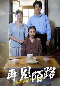 再見(jiàn)陌路(全集)