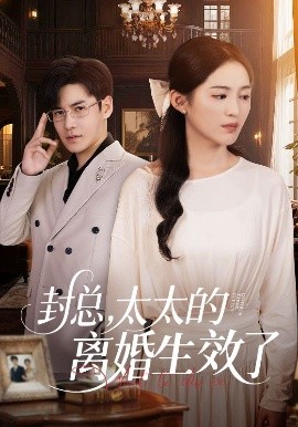 封總，太太的離婚生效了(全集)