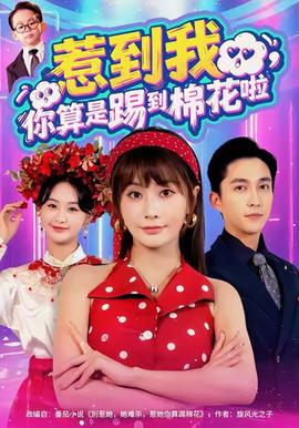 惹到我，你算是踢到棉花啦(全集)