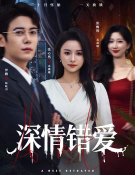深情錯(cuò)愛(全集)