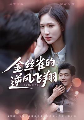 金絲雀的逆風飛翔(全集)